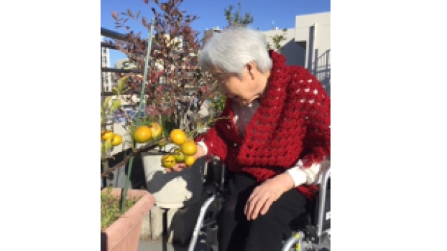 都市型特養ホームの先駆けとして｜成幸ホーム　《併設：成幸在宅サービスセンター／成幸在宅介護支援センター》