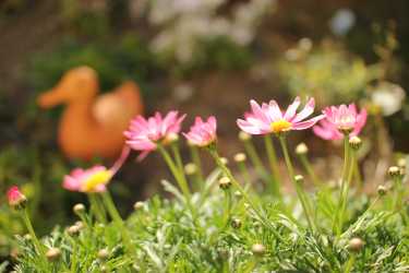 《施設のご見学について》｜成幸ホーム　《併設：成幸在宅サービスセンター／成幸在宅介護支援センター》