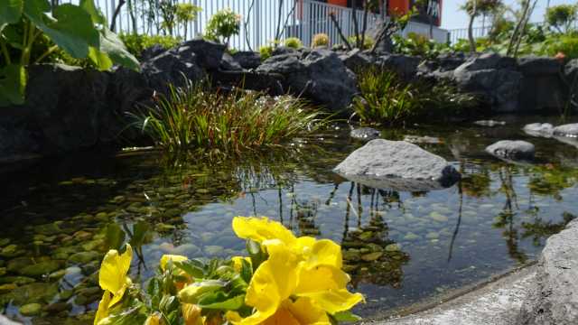 都内で有名な商店街にほど近く、中学校と併設というユニークな施設です｜品川区立戸越台特別養護老人ホーム　《併設：戸越台在宅サービスセンター／戸越台在宅介護支援センター》