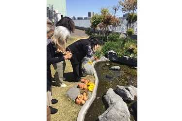 《基本的な1日の流れ》|品川区立戸越台特別養護老人ホーム 《併設:戸越台在宅サービスセンター/戸越台在宅介護支援センター》