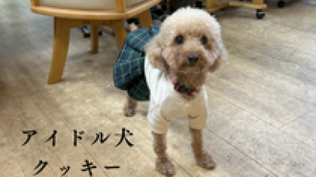 会いたくなる人がいる、ホッとする安心感のある場所　それがホームケアセンター新道東です！｜ホームケアセンター新道東