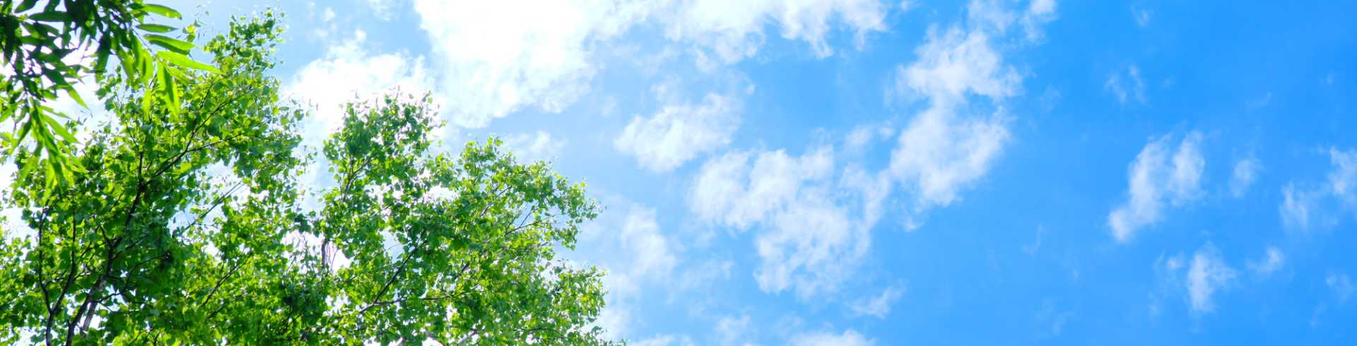 マワルソラ訪問看護リハビリステーション