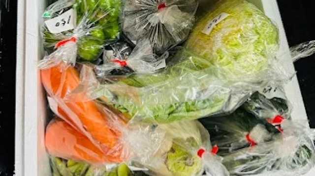 共生型デイサ－ビス　ほっとすてーしょん悠陽（はるひ）です♪｜ほっとすてーしょん悠陽（はるひ）/ルミエールコアカンパニー合同会社