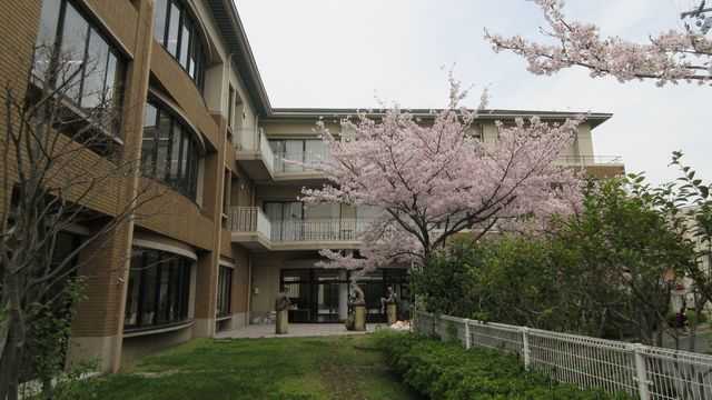 日常の介護の充実を基盤として、暮らしを支える｜にしのみや聖徳園（介護老人福祉施設）