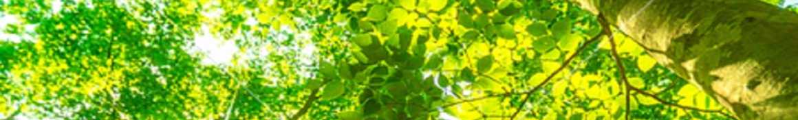 訪問看護から始める町づくり｜ぱんだ訪問看護リハビリステーション