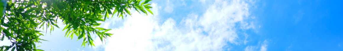 《ケアプラン作成》まずはお気軽にご相談ください！｜丸美ライフサービス