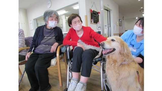 ～365日営業のリハビリ特化型デイサービス～｜太陽と緑の家　デイサービス