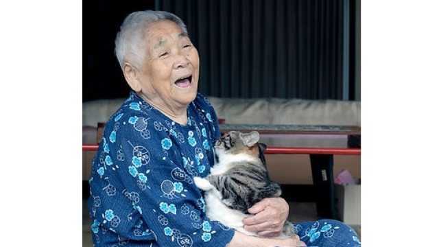 【ペットがいる方も安心◎】資格を持つスタッフが対応します｜訪問介護本舗　こねこ