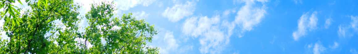 施設概要|介護老人保健施設ハーティハイム