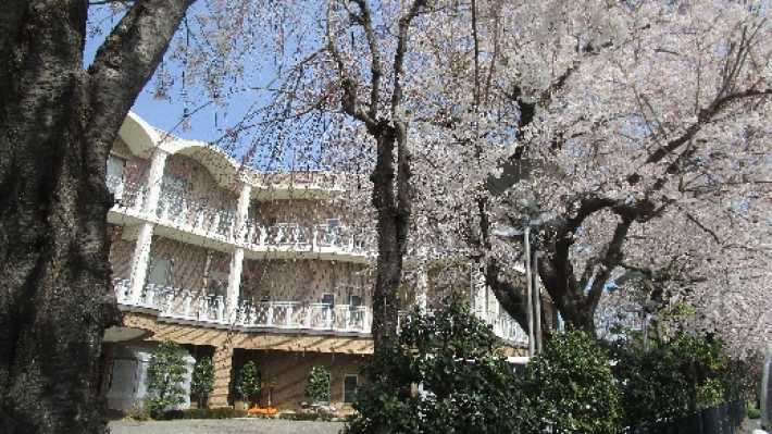 ▼訪問歯科なども定期的に実施中｜介護老人保健施設ハーティハイム