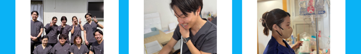 行動目標｜マリンケア訪問看護ステーション