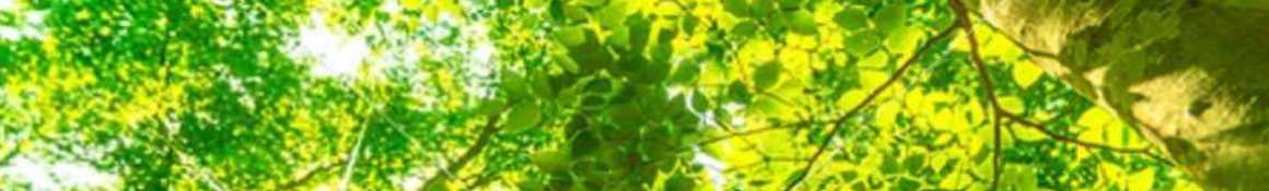 訪問介護とは｜ライズケアエイド（訪問介護）／ライズ合同会社