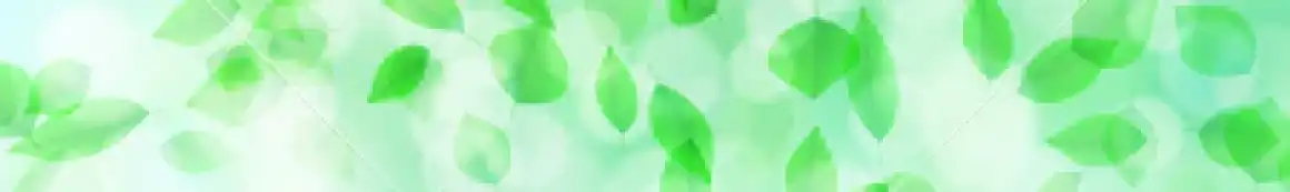 ｜エコワークス浜松営業所