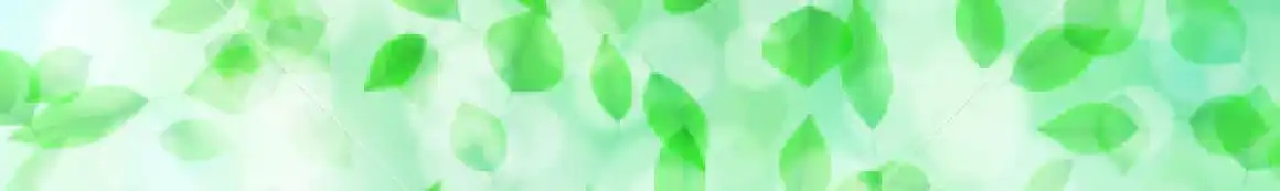 ｜訪問看護ステーション Reafまちだ