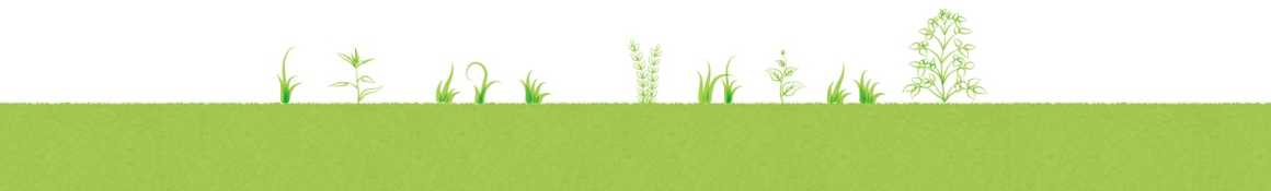 まるでフィットネスジムに通っているような感覚♪｜リハビリテーション機能強化型フィットネス&サロンデイサービス　リハビレッジ多米