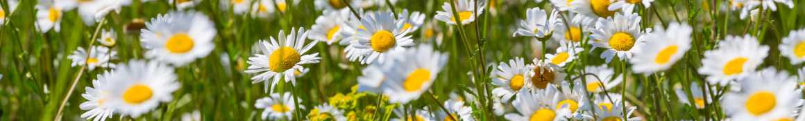 ｜ステップワン介護サービス