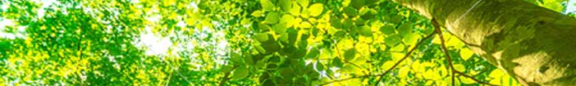 ≪テイ医院について≫｜テイ・訪問介護センター