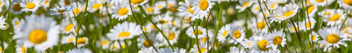 ▼介護医療院とは？｜京都南西病院介護医療院