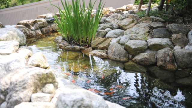 『人と社会』に優しくあたたかい医療｜嵯峨野病院介護医療院