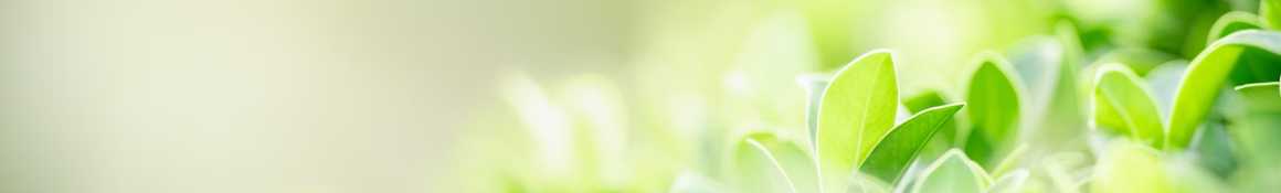 1日のスケジュール｜デイサービスセンターけやきつつじが丘