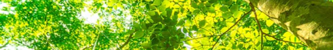 介護職員がより豊かな生活を送れるように｜ケアステーションクローバー