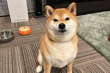 ■代表よりご挨拶｜ケアステーションクローバー