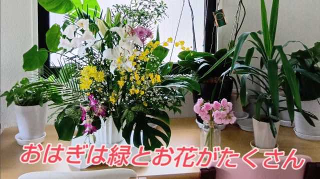 西尾市平坂町に令和7年5月OPENした「おはぎデイサービス」です♪｜おはぎデイサービス／BIG BRIDGE合同会社