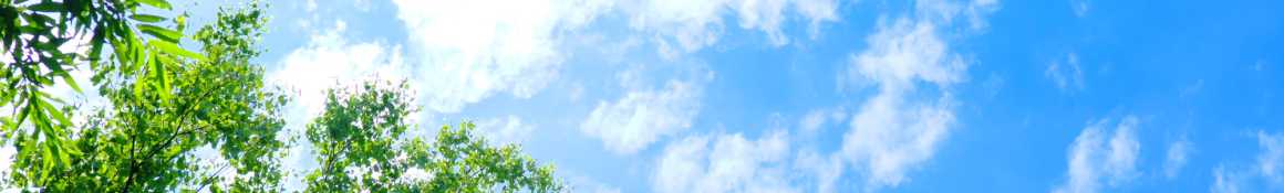 訪問介護のサービス内容について｜オアシス株式会社・訪問介護まごのて桂川