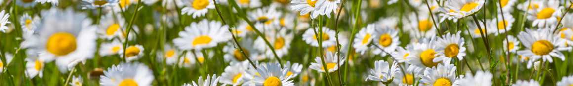 訪問介護員などがご自宅を訪問し、身の回りの必要なサポートを行います。｜おかちゃんケア