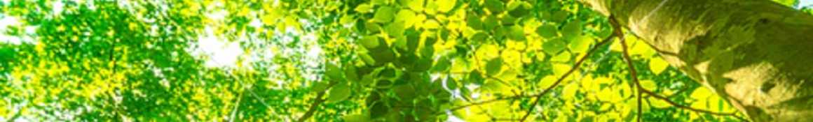 人生の大先輩を敬い護る敬護を実践し生涯幸福に貢献する｜ヒーリングケア訪問看護ステーションみなと