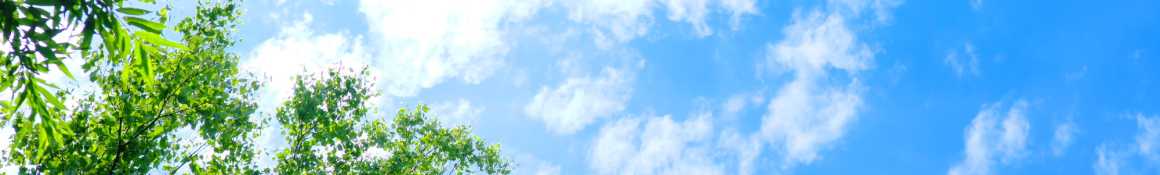 ≪ アクセス ≫｜居宅支援センター　泰政園