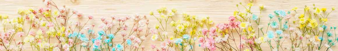 365日通常営業・24時間緊急時の対応が可能｜晴れるや訪問看護ステーション