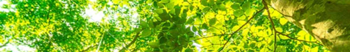 ～日々の暮らしにお困りごとはありませんか？～｜都島ナース