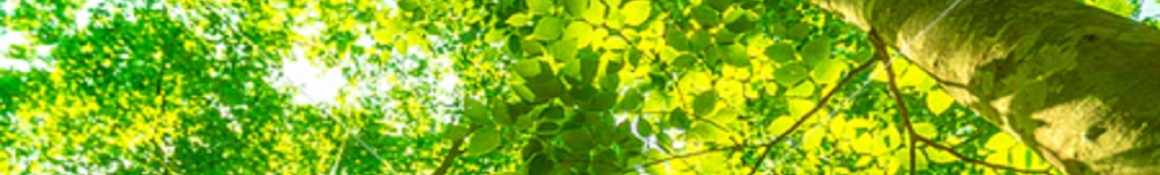 ～　チームで支えるリハビリテーション　～｜介護老人保健施設みやびの里