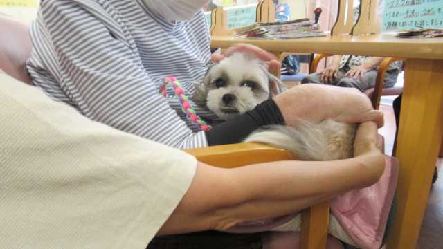 デイサービスセンターあすか　【一般型】｜デイサービスセンターあすか