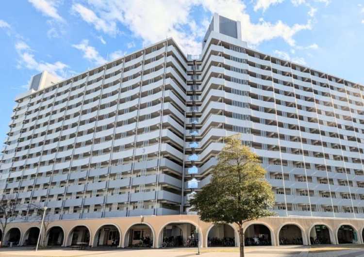 訪問介護／年末年始・夏休暇あり／経験不問／社会保険完備｜リンク訪問介護ステーション