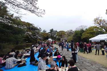 「申孝園・桜祭り」｜介護付き有料老人ホーム　申孝園ロータスヴィラ