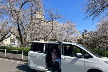 春爛漫 桜ドライブへ🌸|はちやデイサービスセンター
