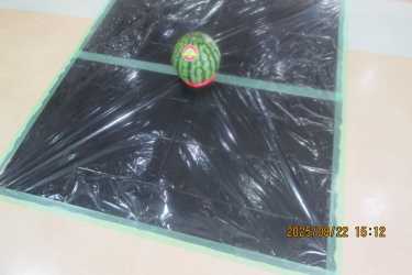 夏の終わりはスイカ割り｜こがデイサービスみづまの杜