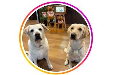 翠華の里｜愛犬と暮らせる特別養護老人ホーム 【職員募集中！】｜特別養護老人ホーム　翠華の里